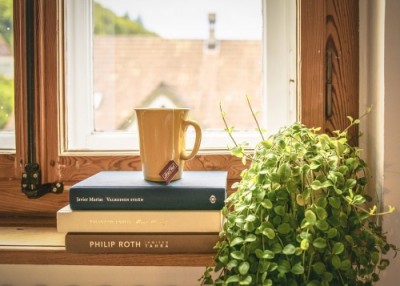 Zelené plíce domova: pokojové rostliny