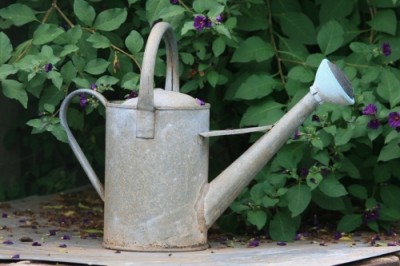 Zalévání zahrady dešťovou vodou: jak řešit nádobu na ni? 