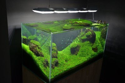 Akvárium a světlo