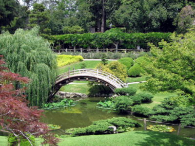 Japonská zahrada aneb místo klidu a relaxace