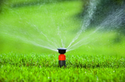 vodu využijte třeba na zavlažování zahrady; zdroj: gardener.cz