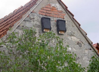 budky pro netopýry na zeď nebo na strom